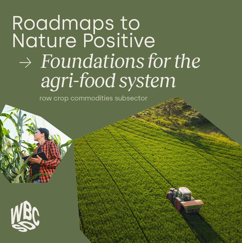 Foundations for the agri-food system
