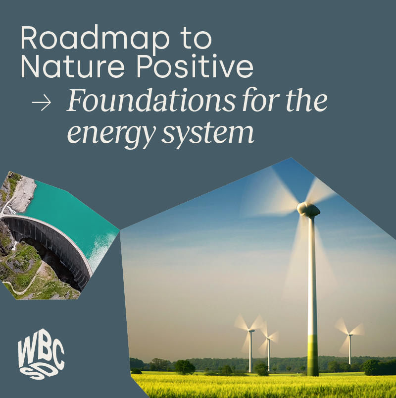 Roadmap to Nature Positive – Foundations for the energy system  