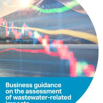 Business guidance on the assessment of wastewater-related impacts 