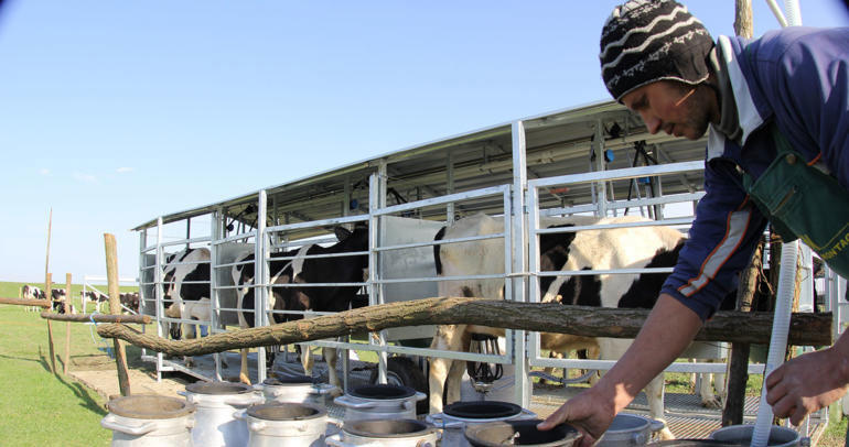 Empowering smallholder dairy suppliers   