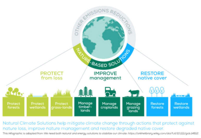 Why Natural Climate Solutions?