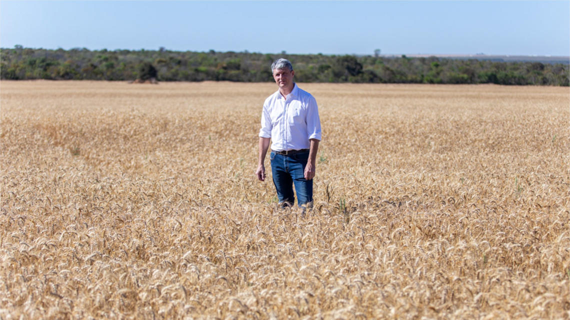 Check Insights from a Bahia soy producer