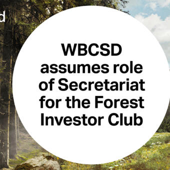 Forest Investor