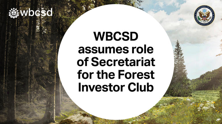 Forest Investor