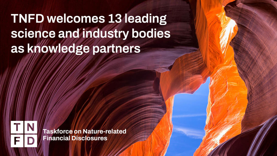     WBCSD partners with TNFD alongside leading science and industry bodies