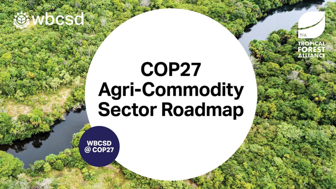 Agri-commodity companies roadmap to reduce emissions