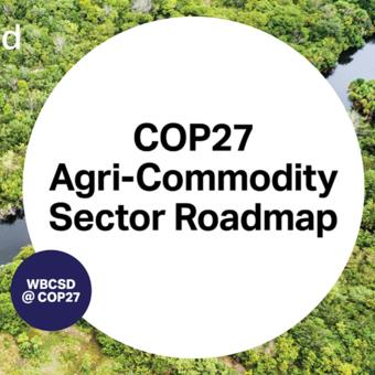 Agri-commodity companies roadmap to reduce emissions