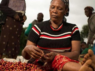 Female coffee farmer