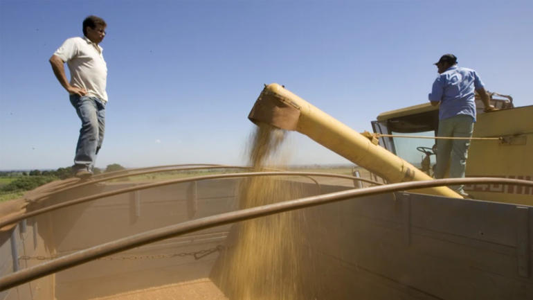 Soy-processing-agriculture 