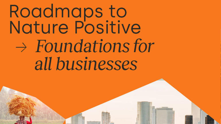 Roadmaps to Nature Positive: Foundations for all businesses 