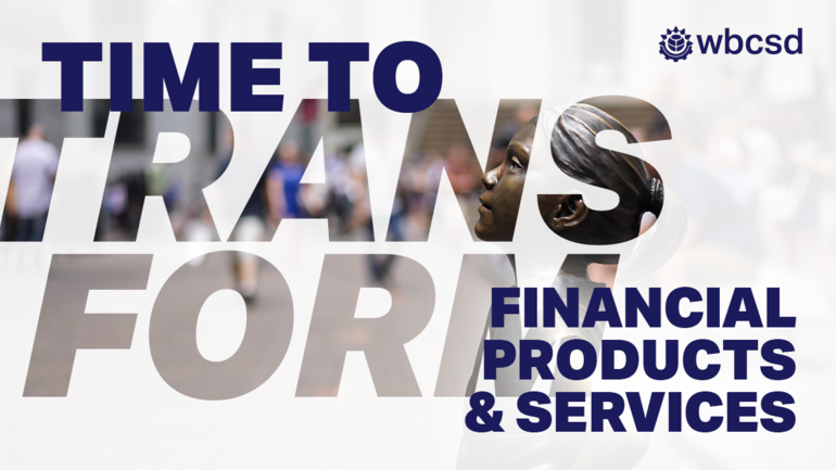 Vision 2050 Financial Products & Services Pathway: We can all invest in our future
