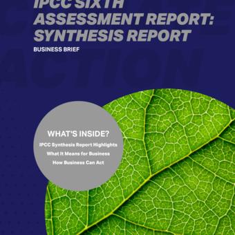 IPCC Sixth Assessment Report Synthesis Report: Business Brief