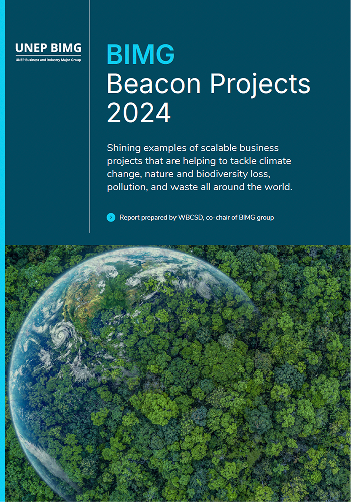 BIMG Beacon Projects Report 2024