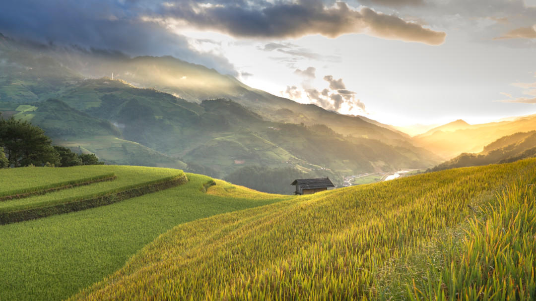     WBCSD launches a Mission Paper for the private sector to scale-up sustainable and regenerative rice-based landscapes.