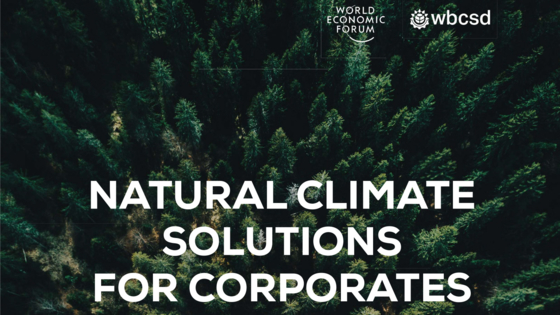 WBCSDと世界経済フォーラム、企業のための自然気候ソリューションを発表