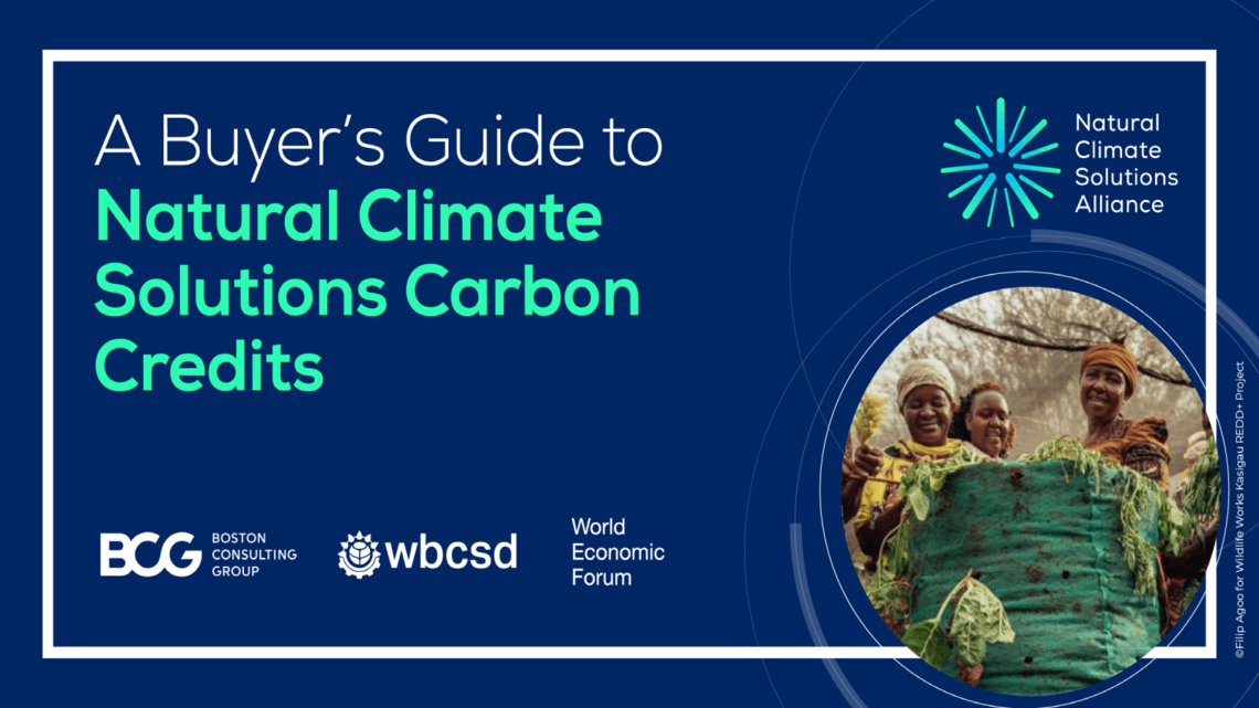     New Buyer’s Guide to Natural Climate Solutions carbon credits