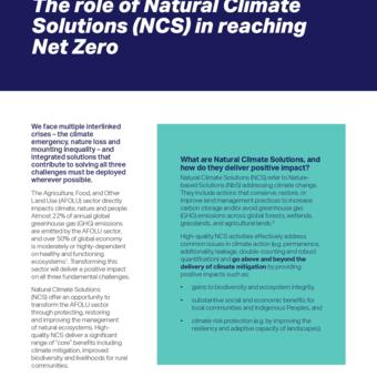 Technical paper: The role of Natural Climate Solutions (NCS) in reaching Net Zero