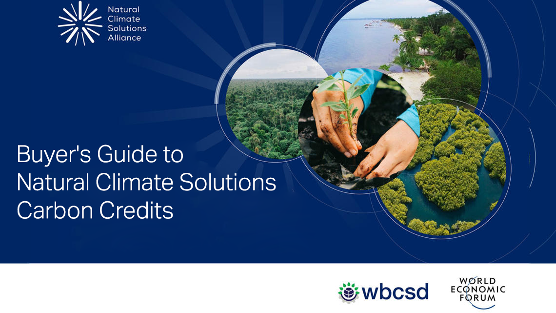 View Buyer's Guide to Natural Climate Solutions Carbon Credits