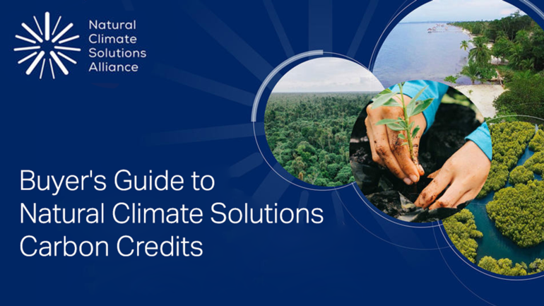 View Buyer's Guide to Natural Climate Solutions Carbon Credits