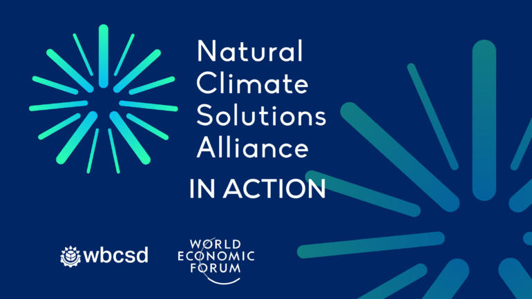 Natural Climate Solutions Alliance over Image