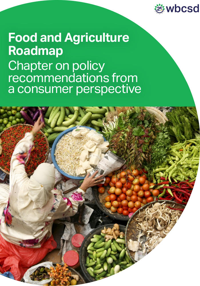 Food & Agriculture Roadmap – Chapter on policy recommendations from a