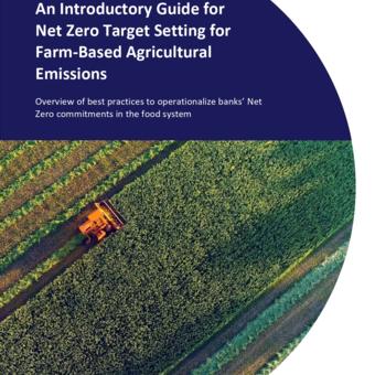 An Introductory Guide for Net Zero Target Setting for Farm-Based Agricultural Emissions