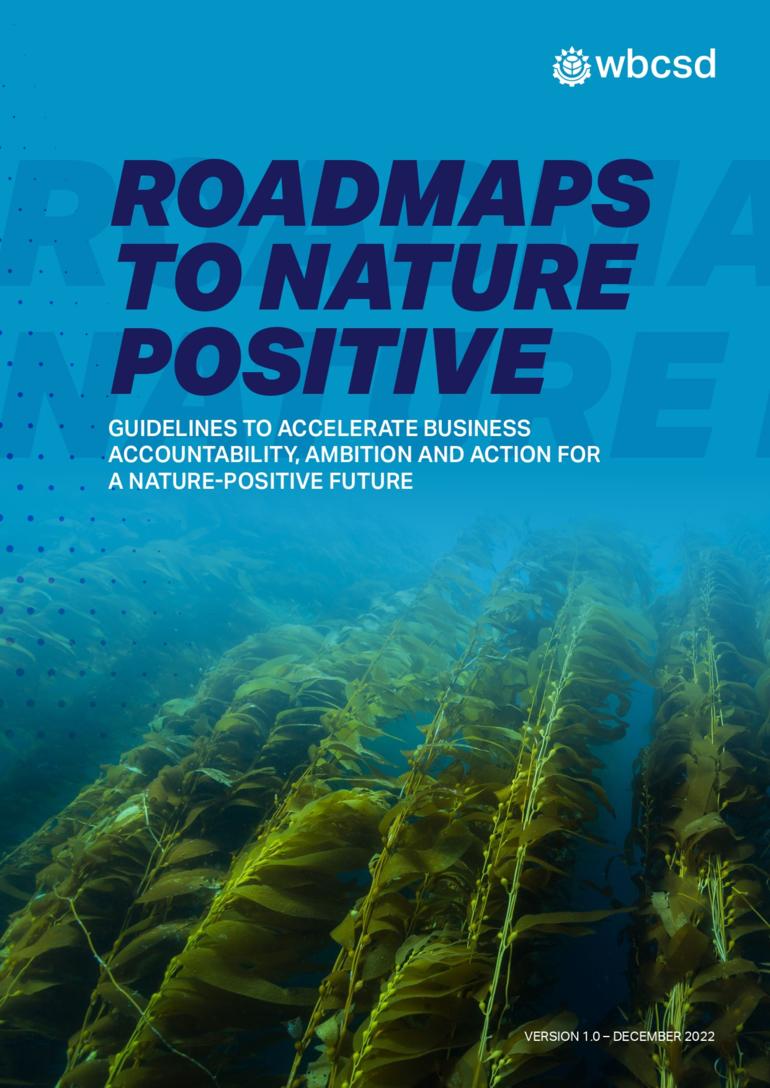 Roadmaps to nature positive