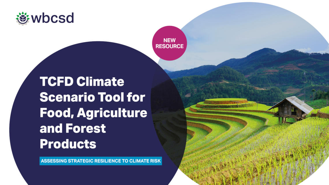     WBCSD releases new climate transition scenario tool for companies in the Food, Agriculture and Forest Products sectors