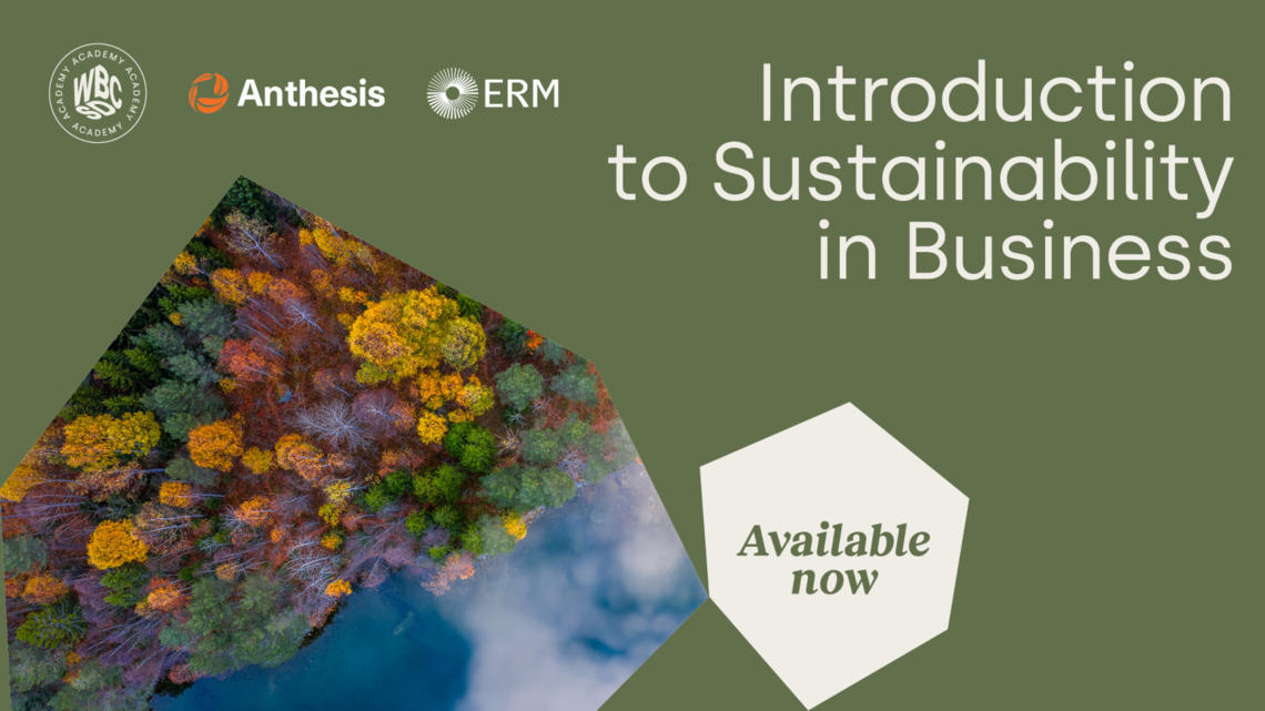    WBCSD, Anthesis Group and ERM launch business sustainability learning program