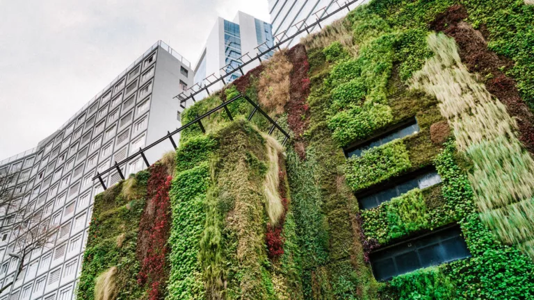 Circular Built Environment _Action