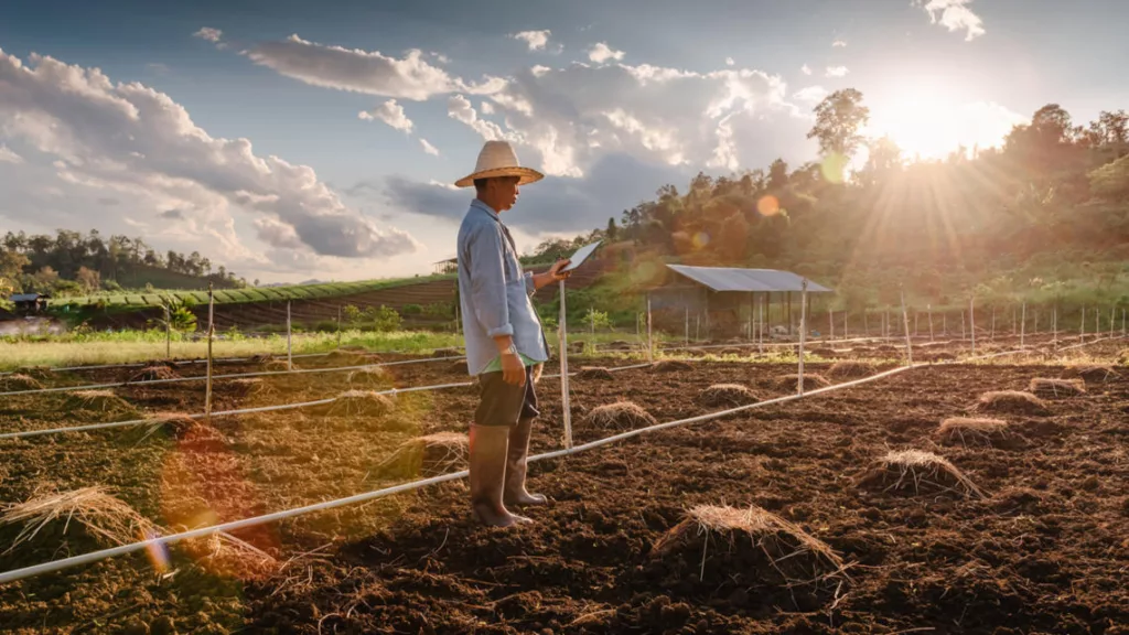 Good Food Finance Network (GFFN) Value Chain Catalyst Group