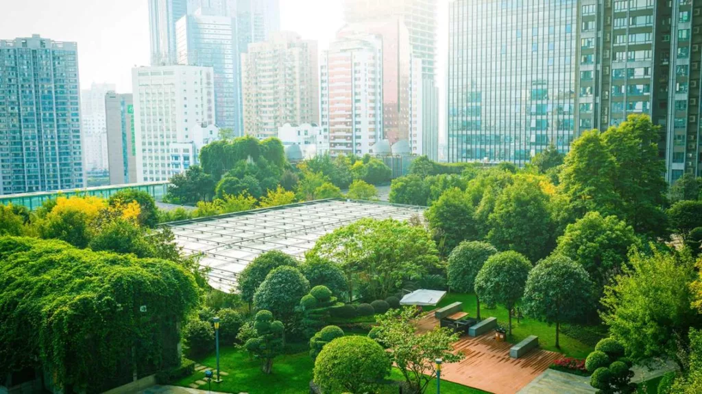 Transforming the Built Environment