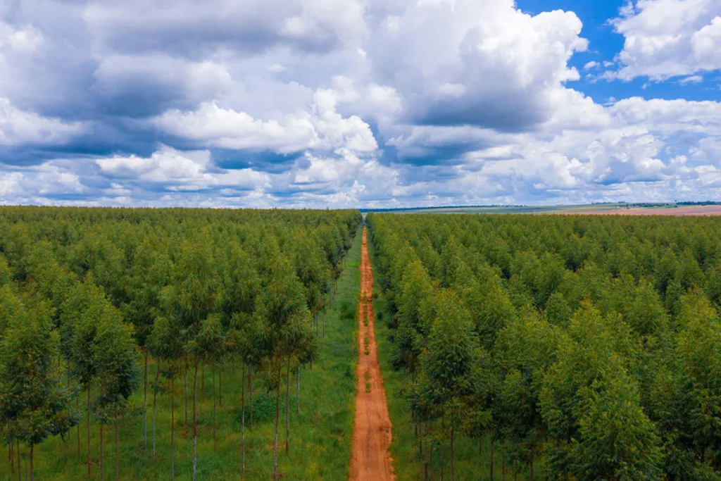 Apple-expands-innovative-Restore-Fund-for-carbon-removal_i1140 | WBCSD