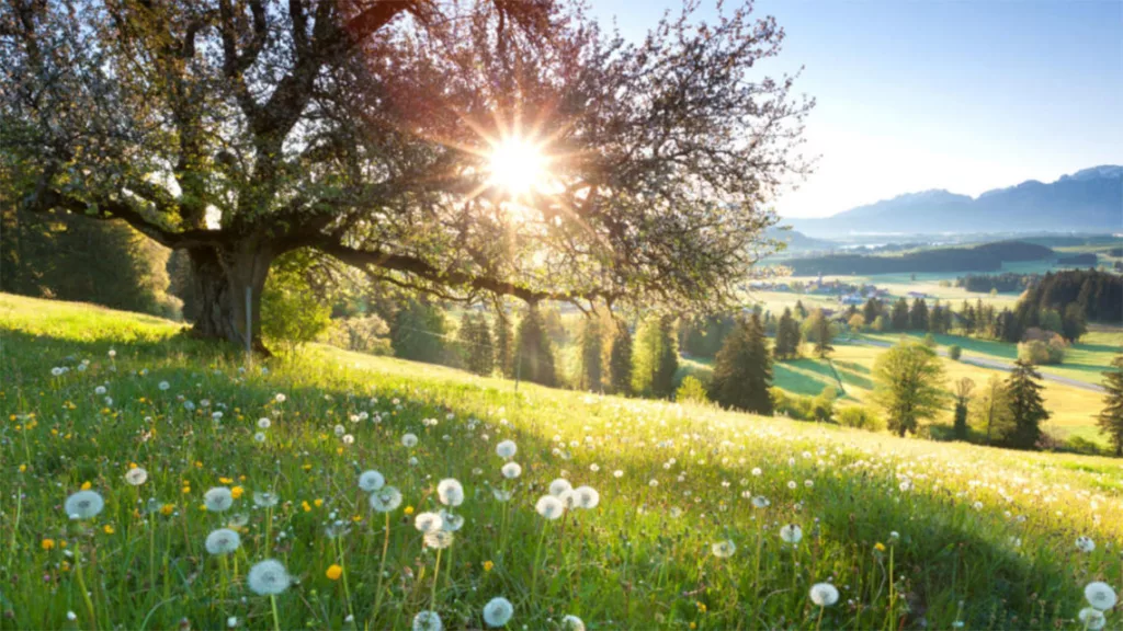 Nature Action