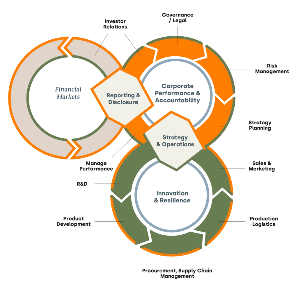 Corporate Performance and Accountability System (CPAS) _ WBCSD