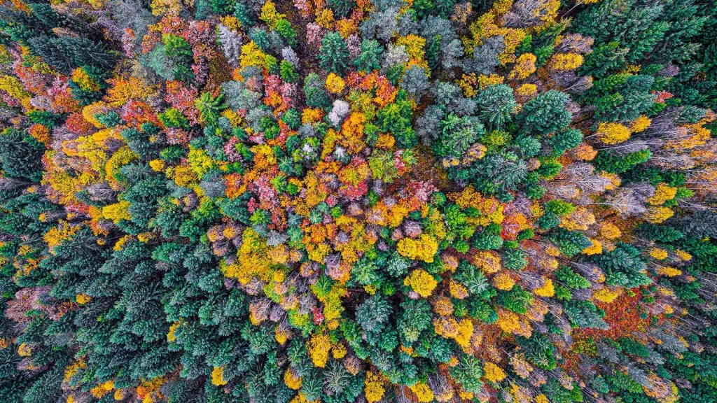 Discover Course - Introduction to Nature for Business