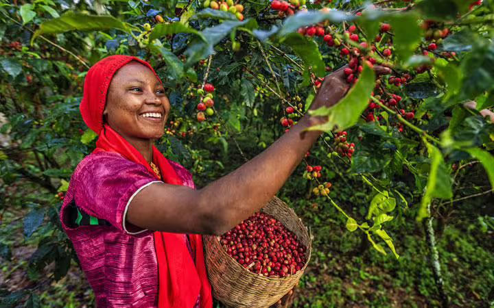 Transforming-Business-Valuing-Human-Social-Capital_720_square