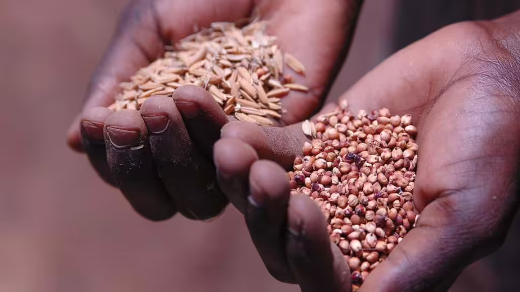 Call-to-Action-for-world-leaders-preventing-a-global-food-security-crisis-while-combating-Covid-19_i1140 | WBCSD