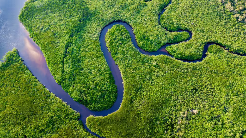 Freshwater Accountability Navigator (FAN)
