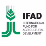 IFAD_logo