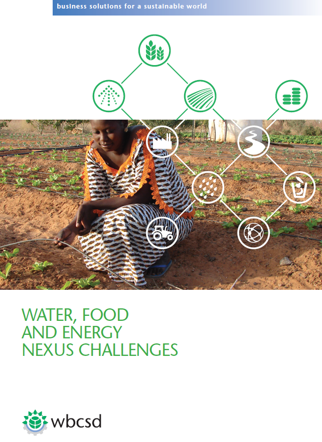 HOW WE TACKLE THE ENERGY FOOD AND WATER NEXUS visual data 4