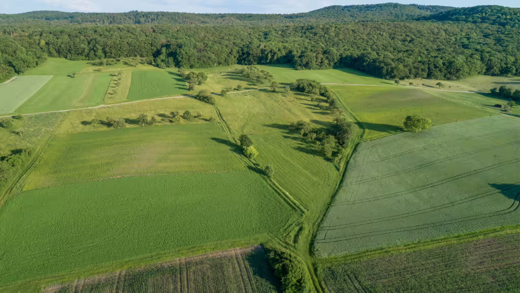 A Global Framework for Regenerative Agriculture