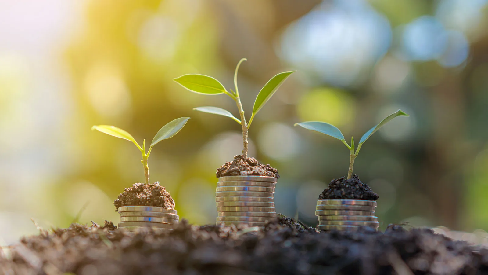 Identify & prioritize key investors, analysts & firms