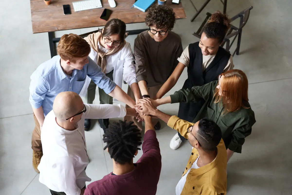 Build partnerships through alliances and co-investments
