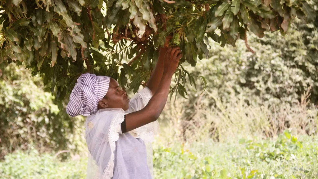 Explore how L’OCCITANE Group empowers farmers to act as nature stewards