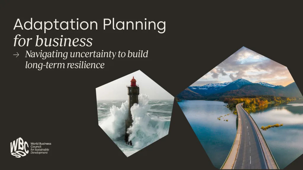 Business adaptation for long-term resilience