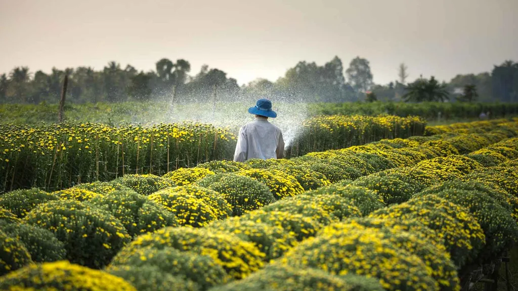 Importance of nature in business context