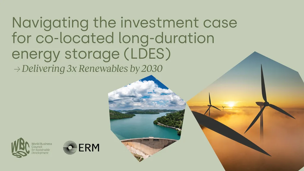 Building renewables capacity is not enough