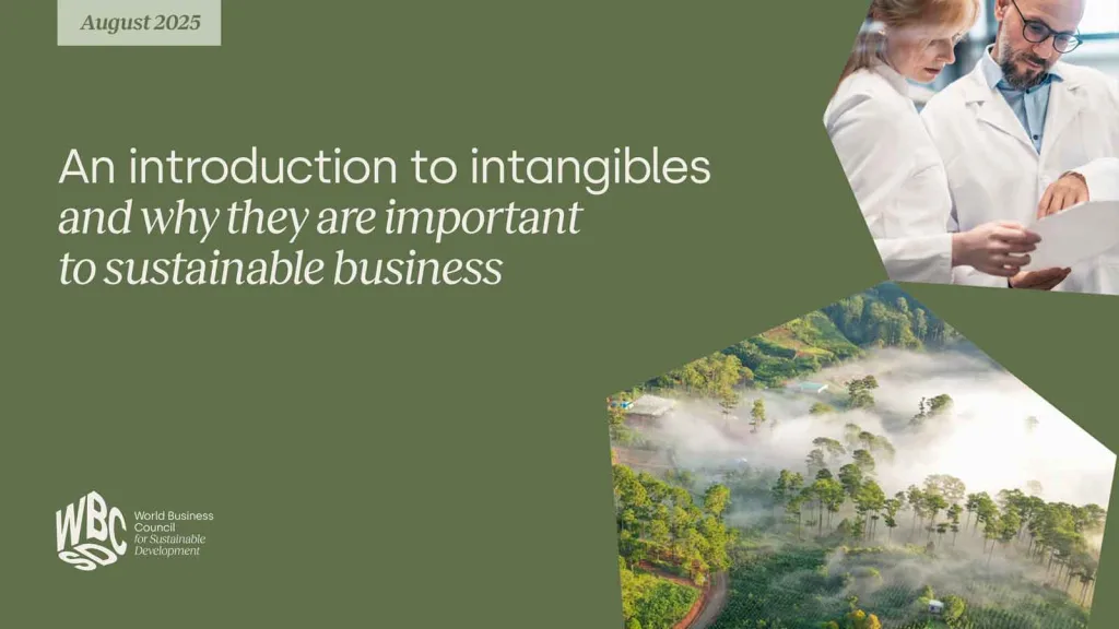 Introduction to intangibles in sustainable business