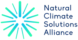 NCSA Logo